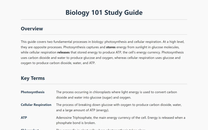 Messy notes into a study guide preview